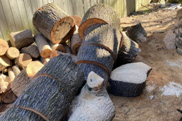 Professional tree services