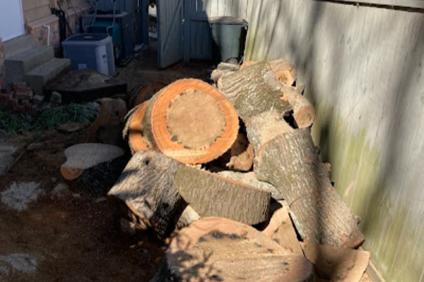 Richard's Tree Service's other services