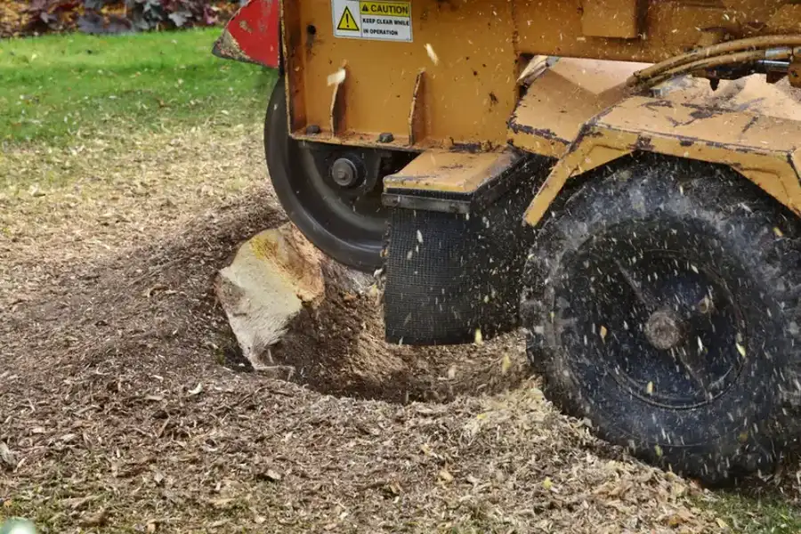 The Benefits Of Stump Grinding Over Leaving Stumps Behind in Little Rock, AR